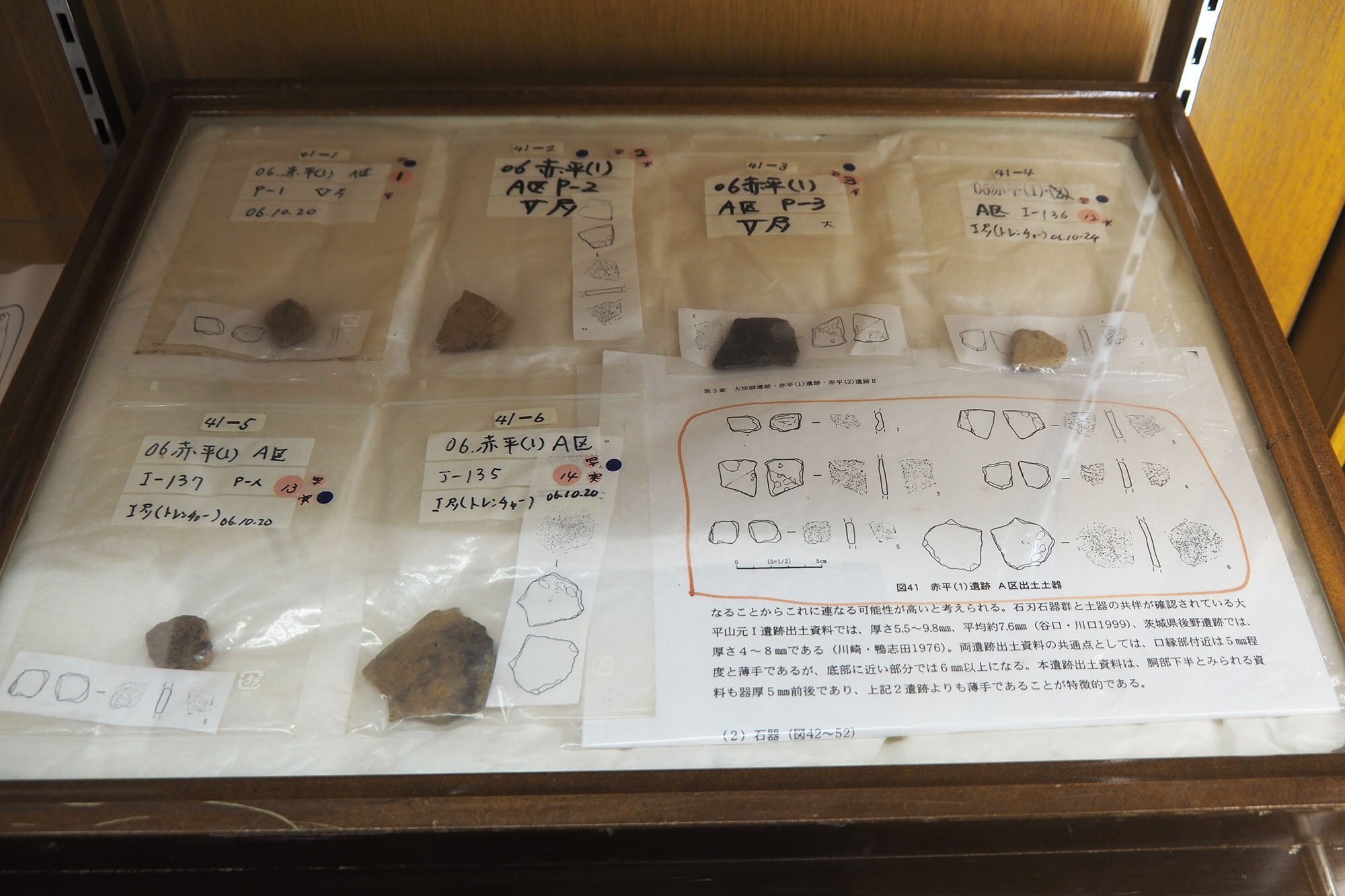 世界最古?の土器と切断蓋付土器と帆立貝の墓ー東北町歴史民俗 世界最古?の土器と切断蓋付土器と帆立貝の墓ー東北町歴史民俗