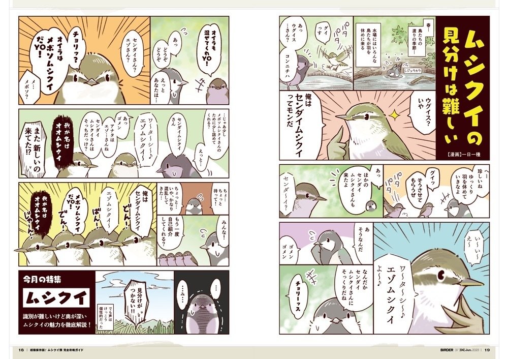 国内発送 BIRDER6月号の見どころ｜ブンイチ（文一総合出版） 人文