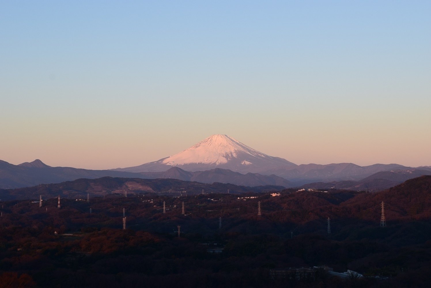 【徳大寺公全極】◆『 西行法師 古筆和歌色紙 』 西行◆検）藤原定家 空海 徳大寺公全極】◇『 西行法師 古筆和歌色紙 』 西行◇検）藤原定