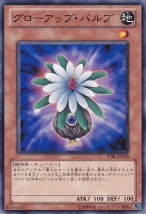遊戯王 森羅概説｜2