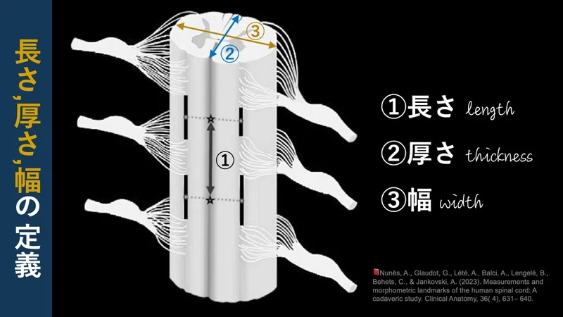  理学療法士／保健学博士 Ph.D. Motiv 