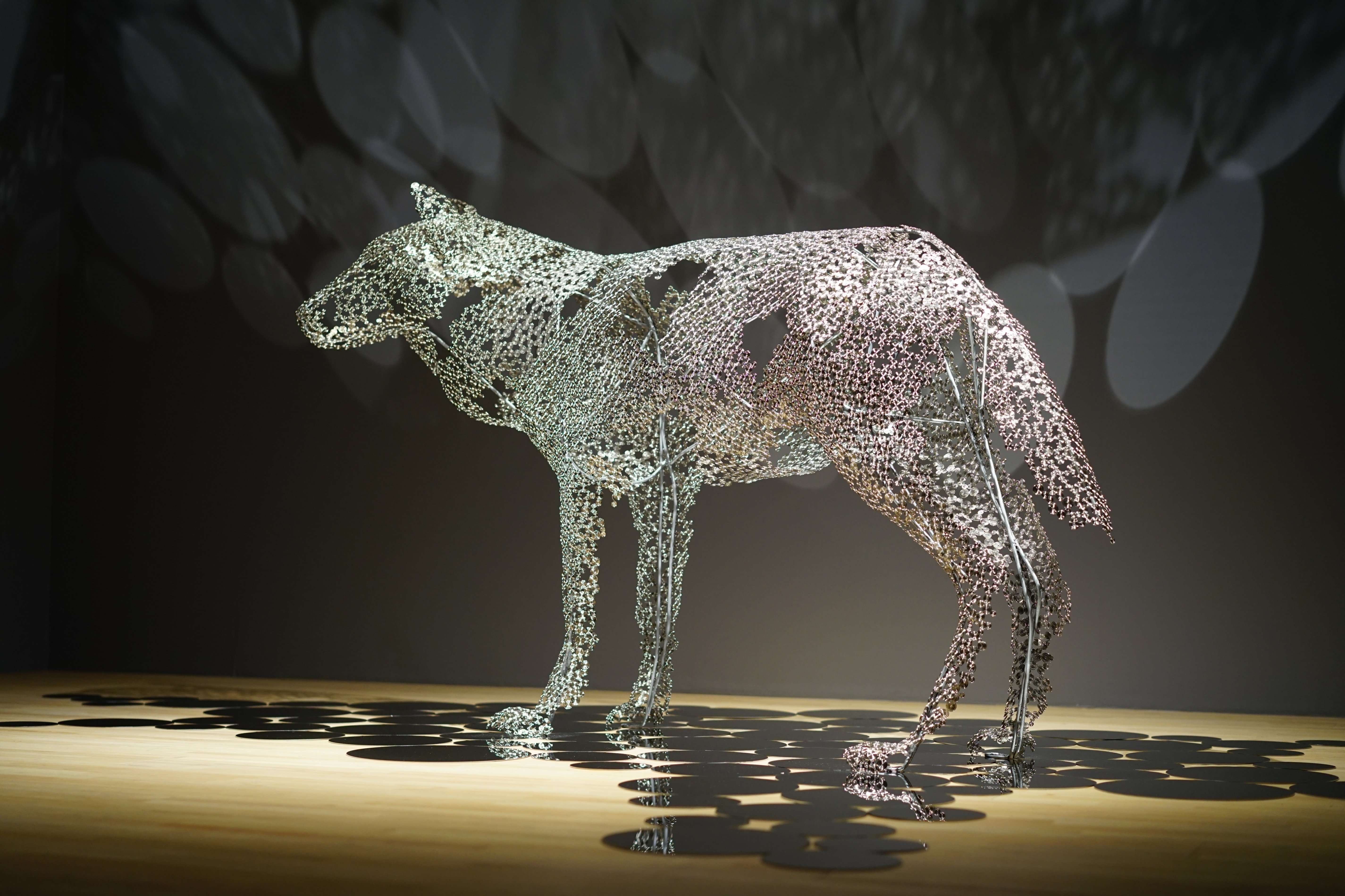 展覧会レポ：POLA MUSEUM ANNEX「西島雄志