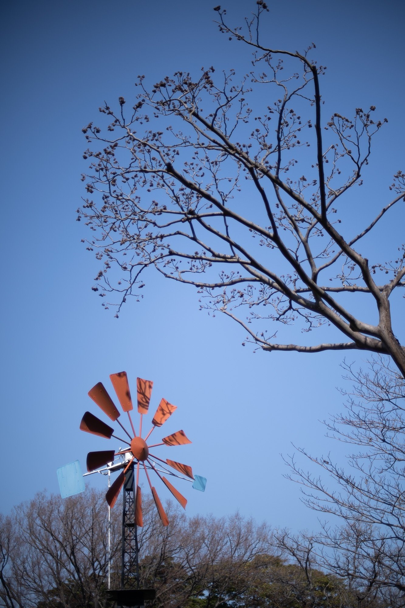 Nikon Ai Nikkor 50mm F1.4 【作例多数】｜PS2U