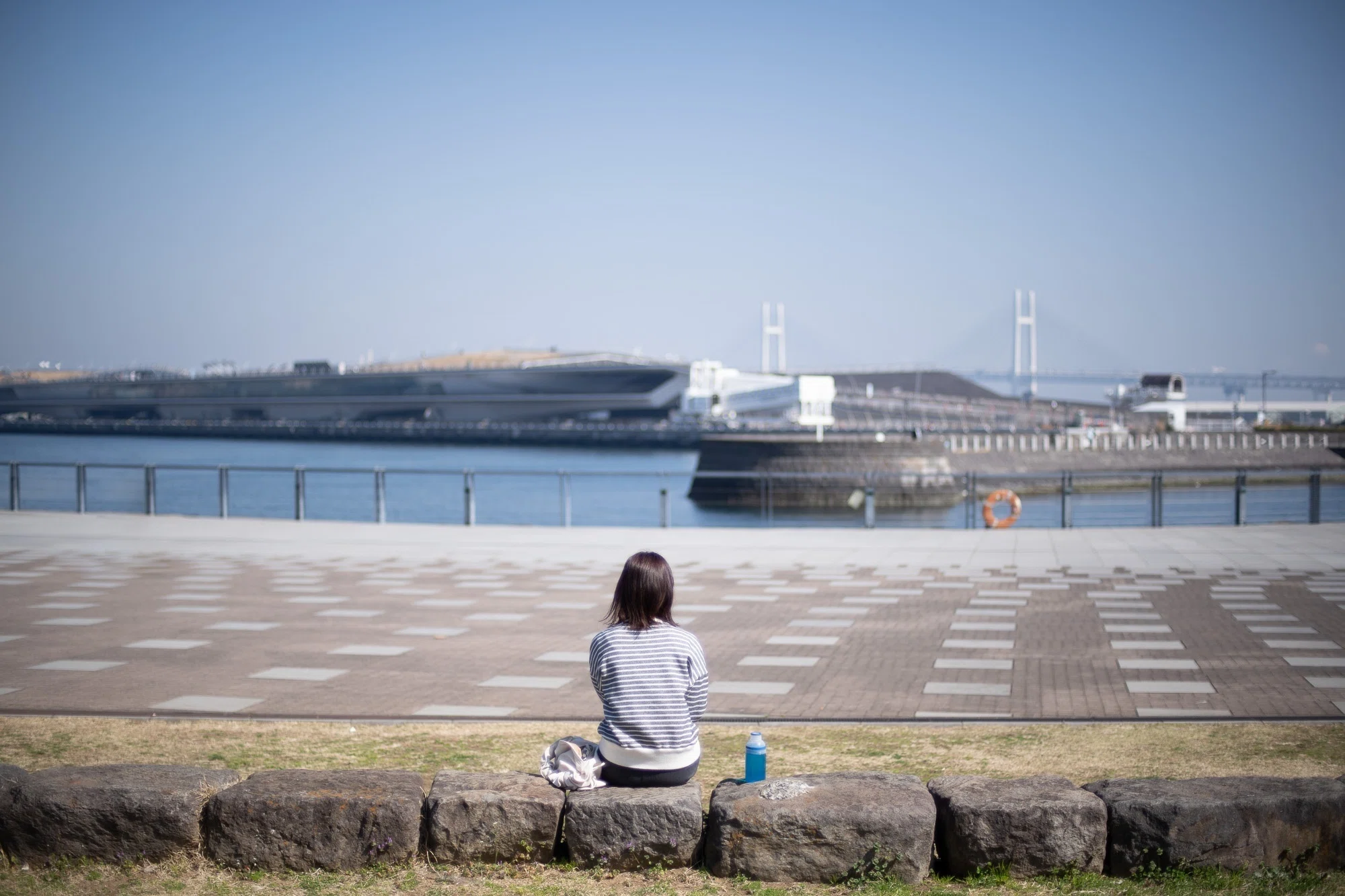 Nikon Ai Nikkor 50mm F1.4 【作例多数】｜PS2U