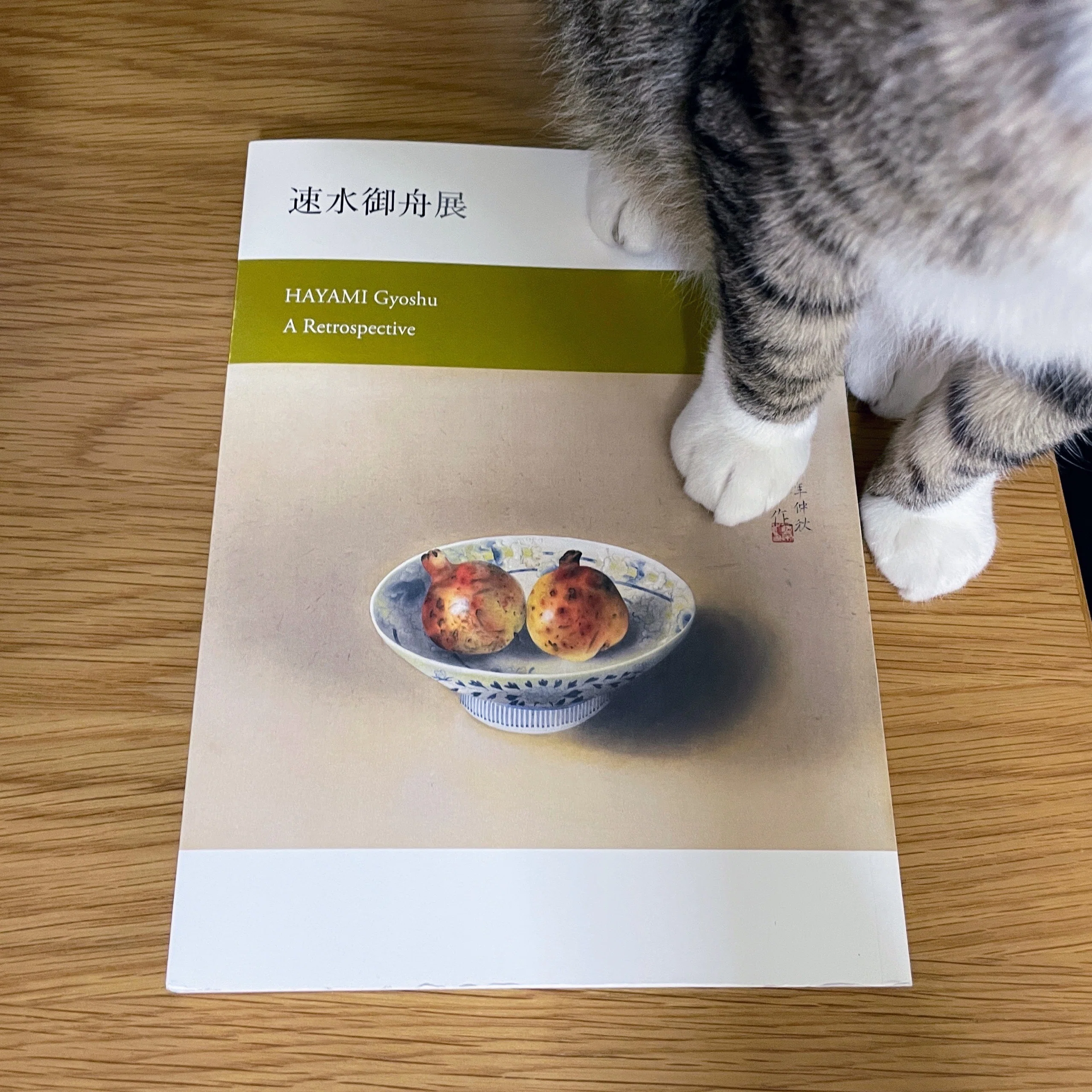 速水御舟展：1 ／茨城県近代美術館｜美術館とお寺と猫
