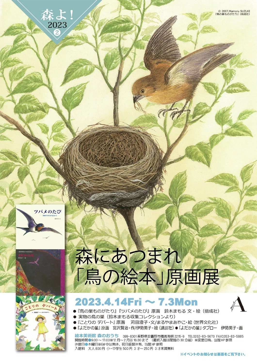 画家・絵本作家の声】鈴木まもるさんインタビュー～「森にあつまれ“鳥