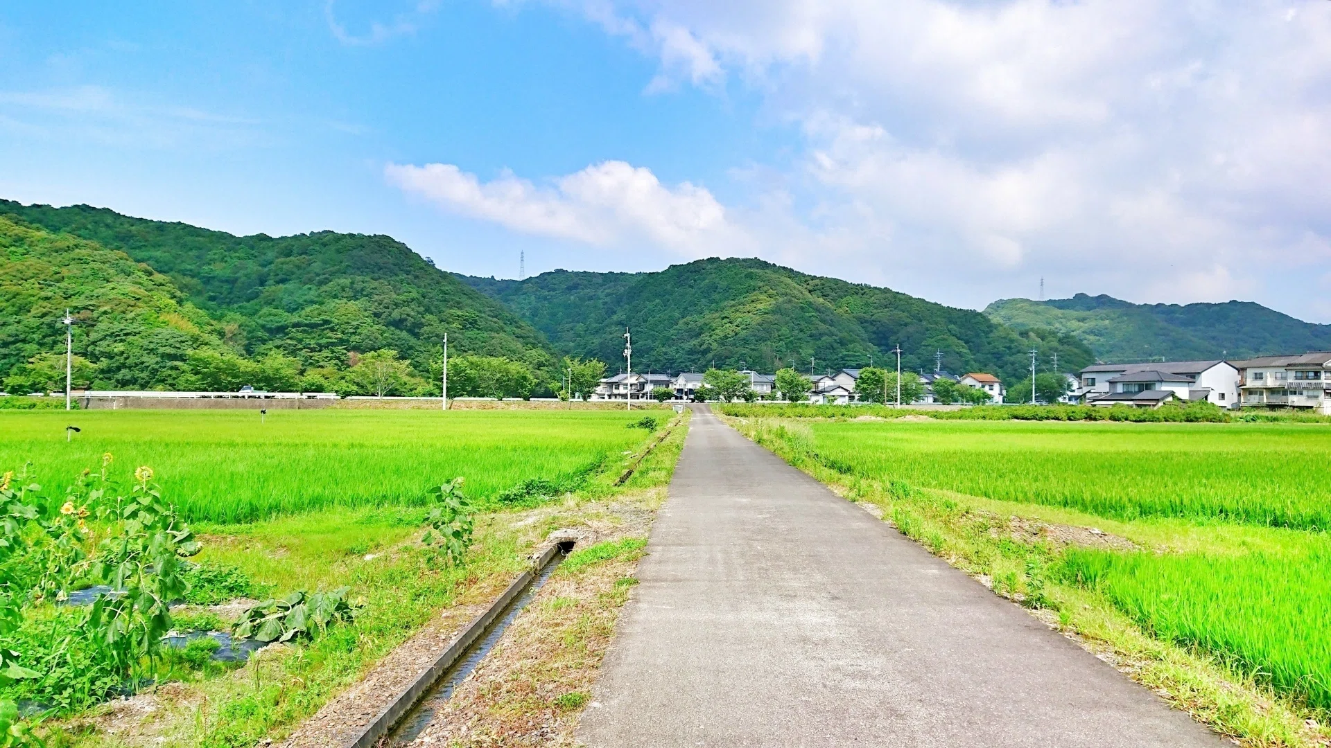 進化した6次産業化「農山漁村発イノベーション」｜コトリコ江藤 梢