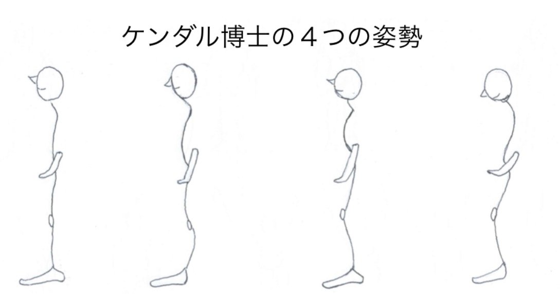 一から学ぶ「本野式筋膜連鎖トレーニングXYⅡZ」① 「筋膜連鎖っ