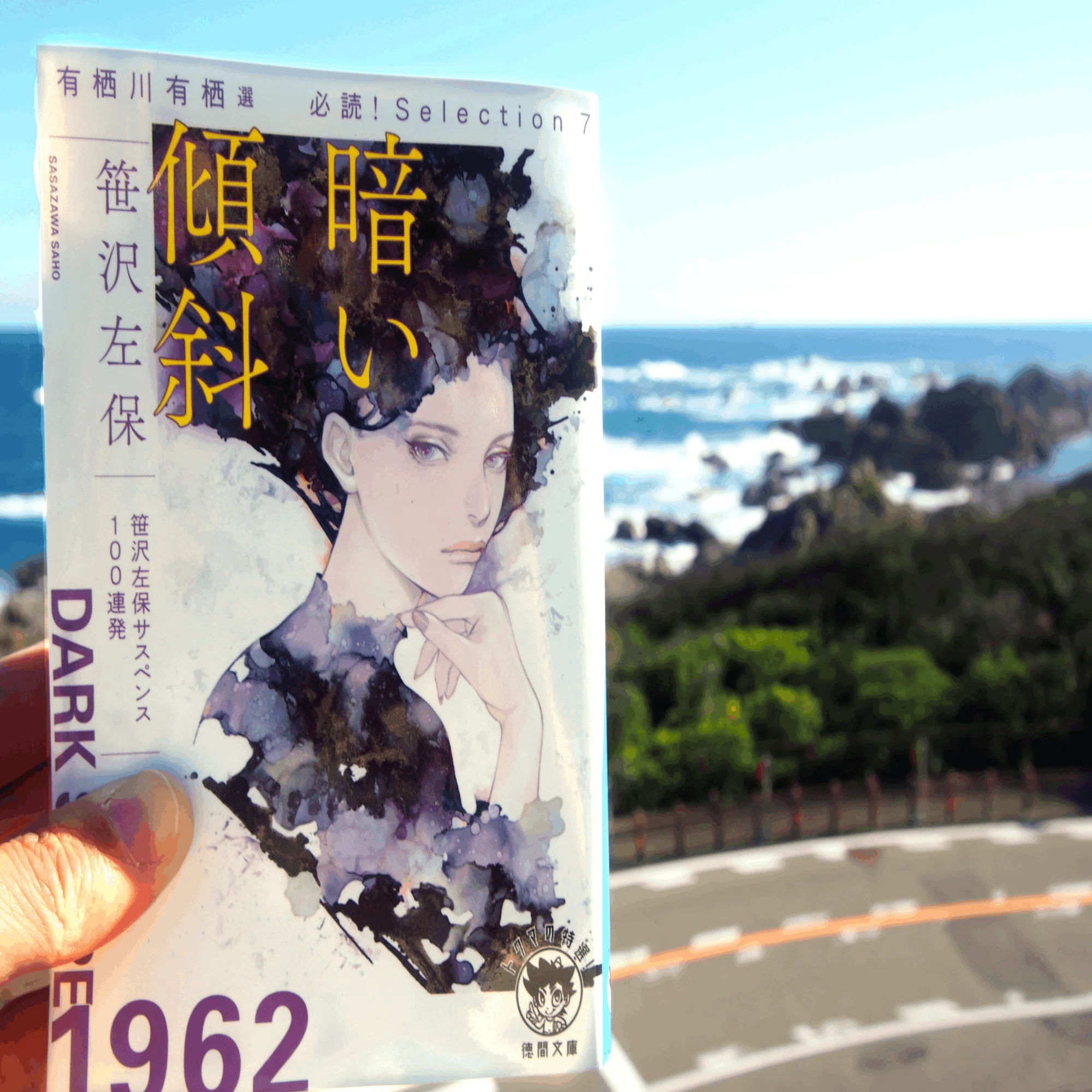 笹沢左保『暗い傾斜』後編～室戸岬（高知県）｜佳多山大地・名作