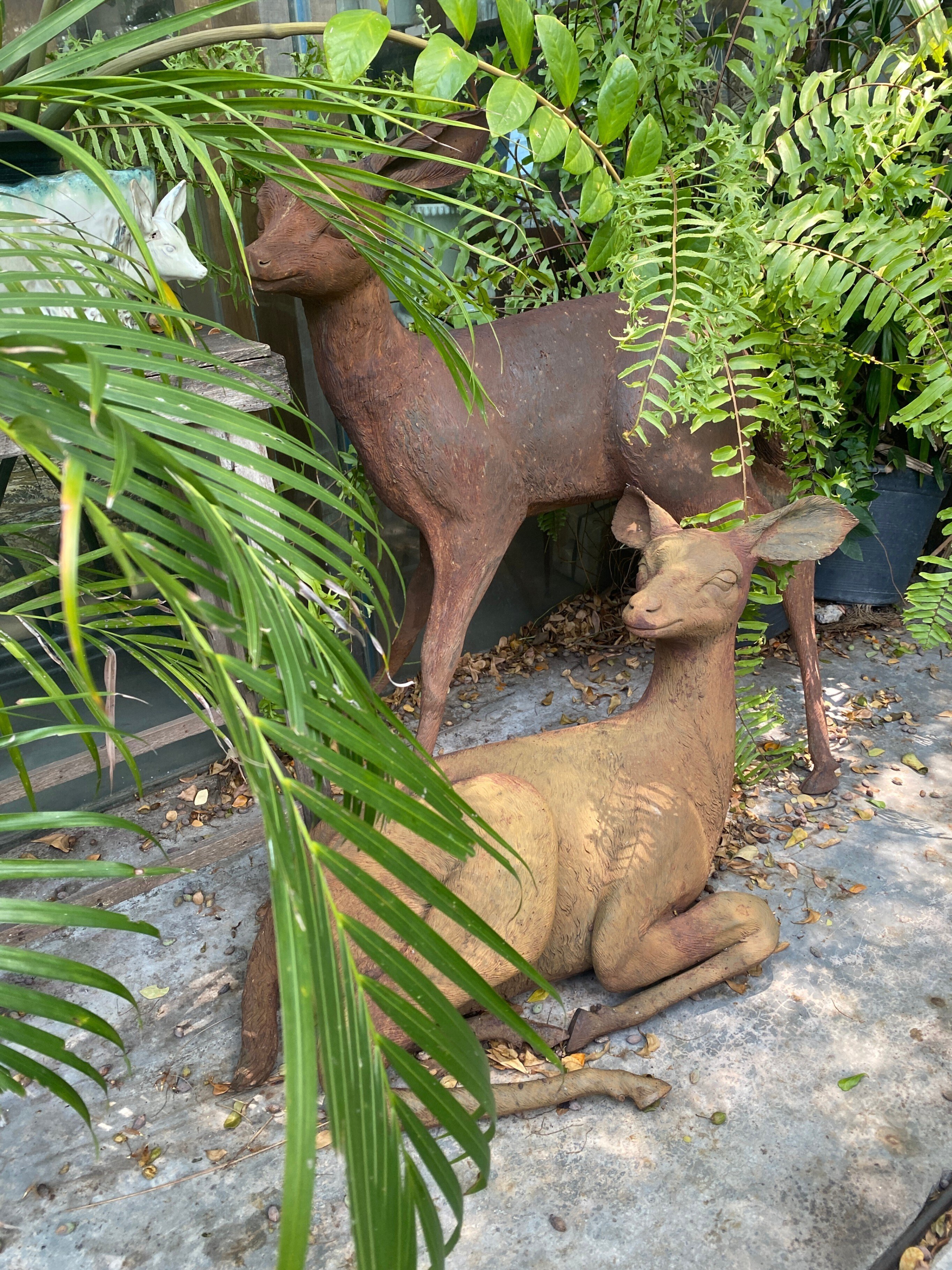 生物たちが生き生きと過ごしていたバンコクのセラミックブランド