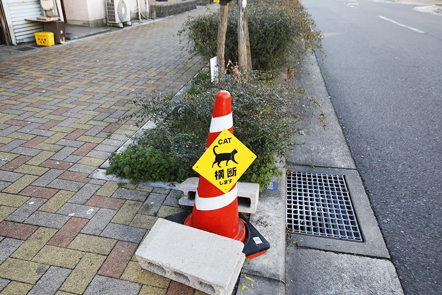 観る、観る、観る、、、撮る前に、観る!|宮田雄平/カメラマンのnote