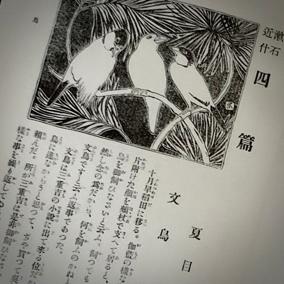 漱石VS谷崎！ 古書本めぐる予期せぬバトル｜銀河のハルカ