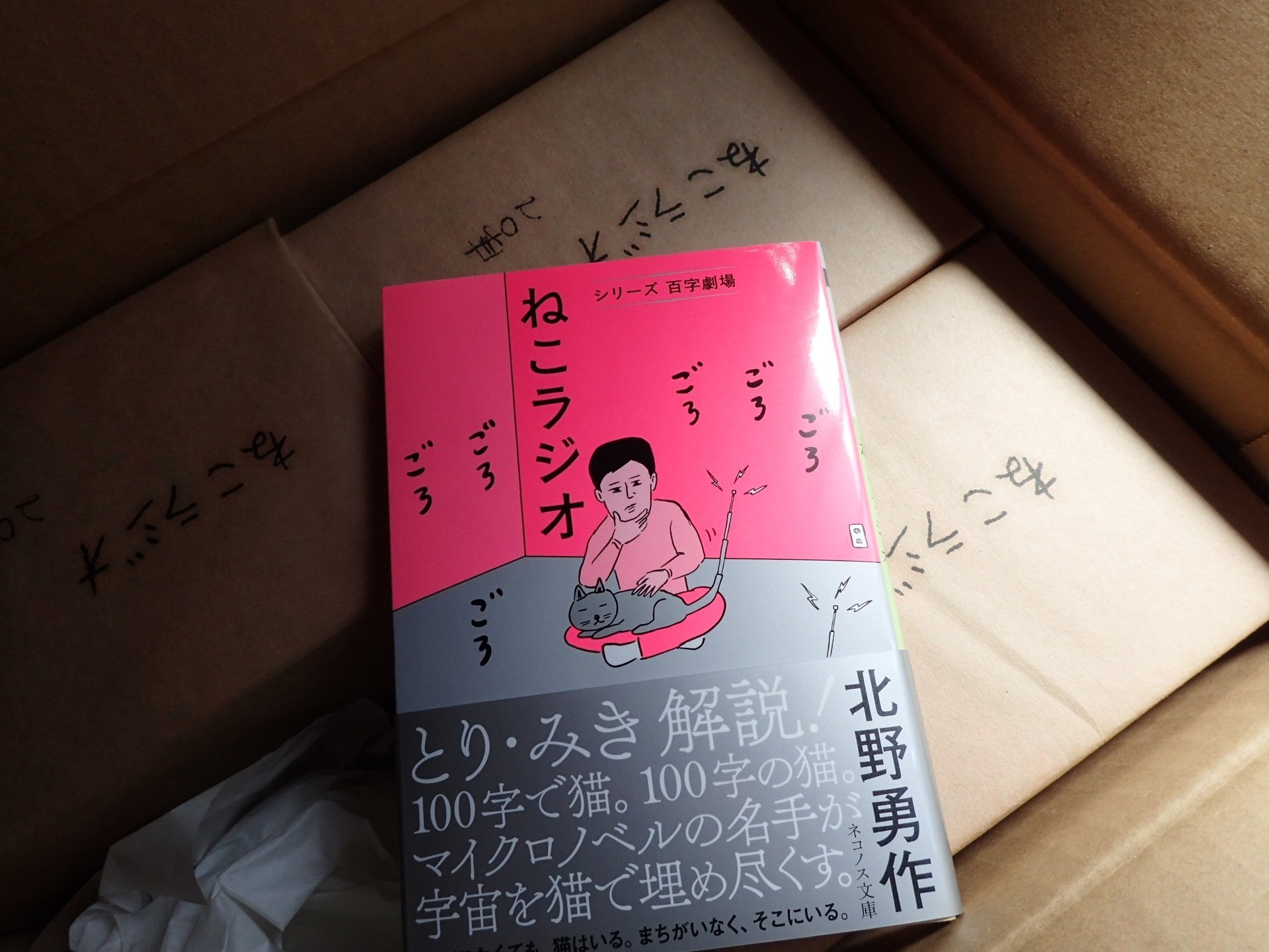 ねこラジオ』全作解説＋目次｜北野勇作