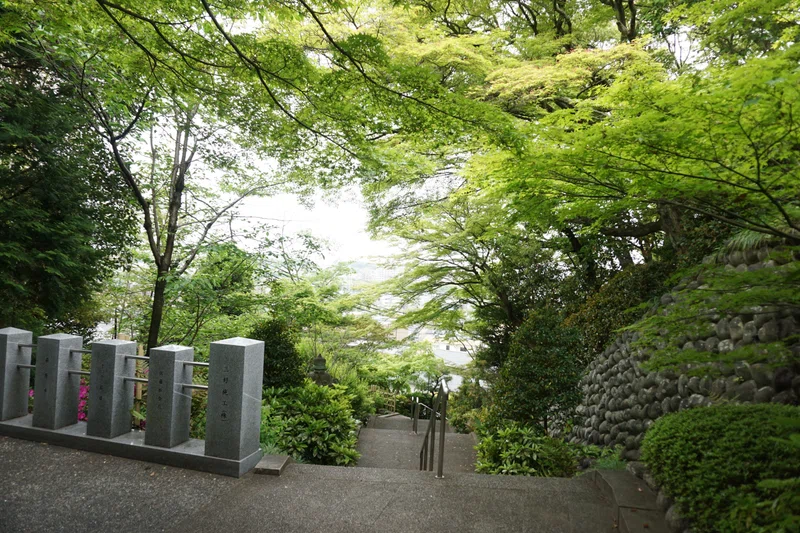 歴史はっけん!自然いっぱい!天白エリア#なごやを歩こう~広報なごや6月号~|名古屋市公式note
