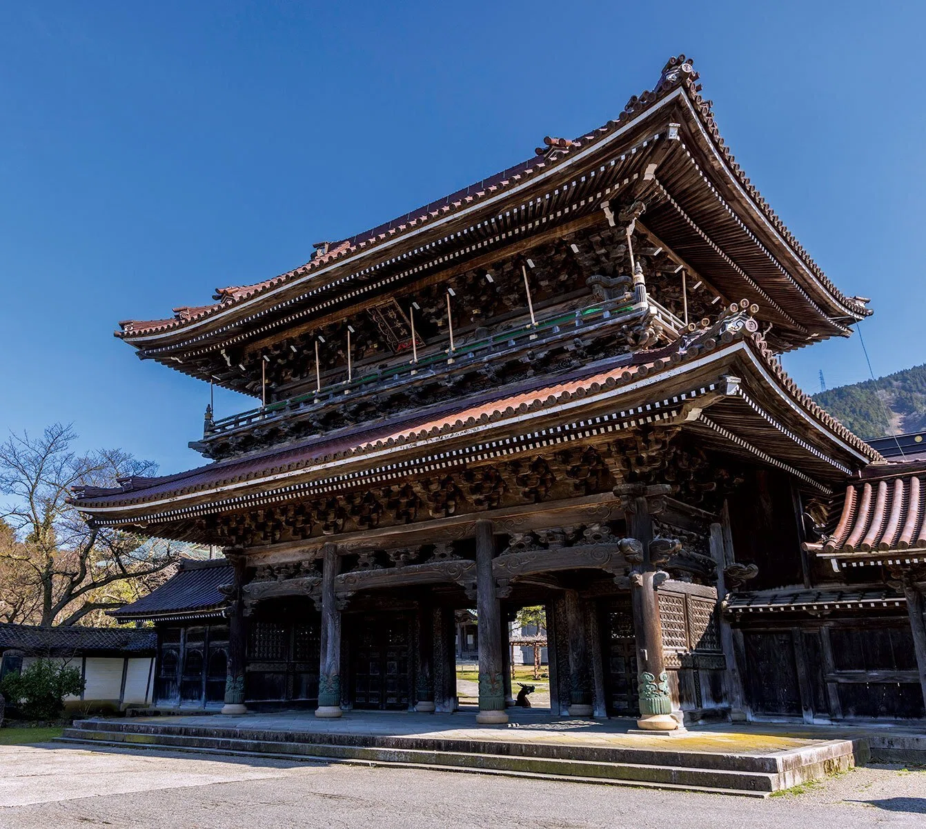 井波彫刻】木槌の音が響く町、井波彫刻のみなもと（富山県）｜ほんの