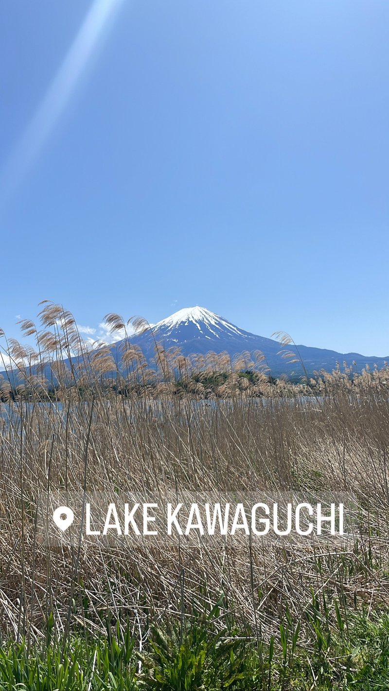 河口湖の湖畔から見た富士山です。