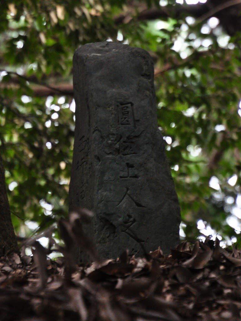 my select50 vol.23「Saigyo Japanese Poet」｜ariari