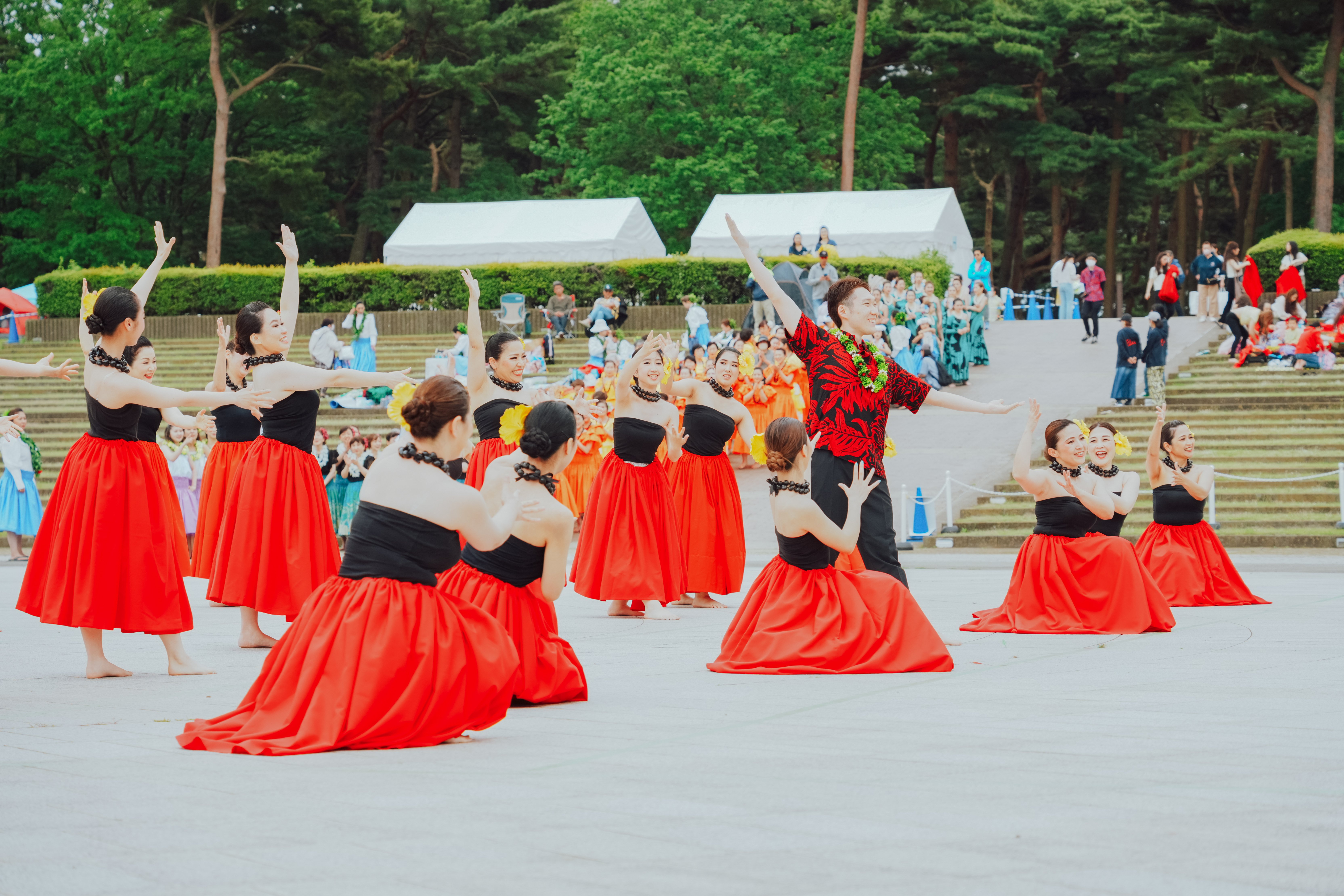写真で伝えたい「フラフェス」の魅力｜ひたちなか市公式note｜茨城県