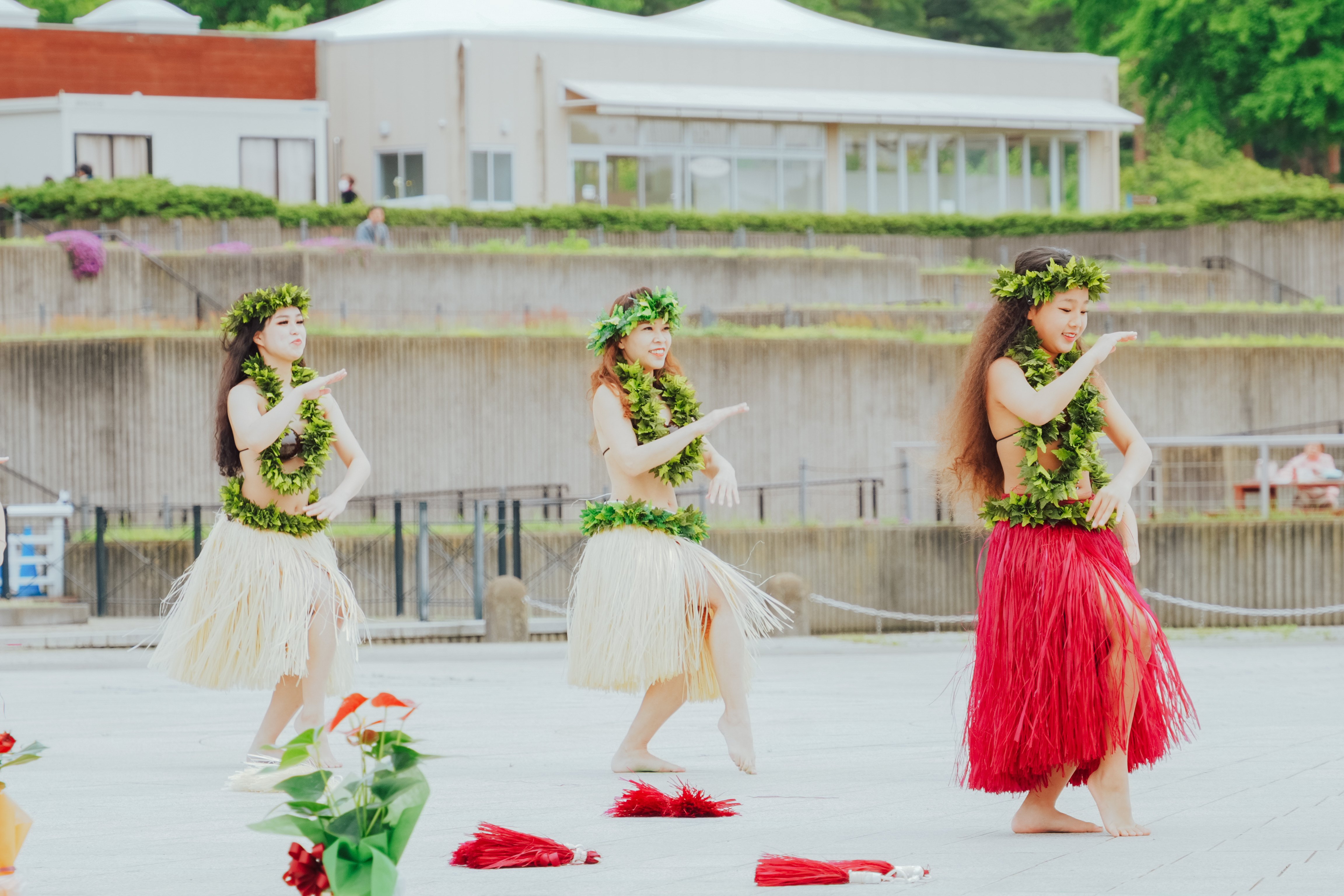 写真で伝えたい「フラフェス」の魅力｜ひたちなか市公式note｜茨城県