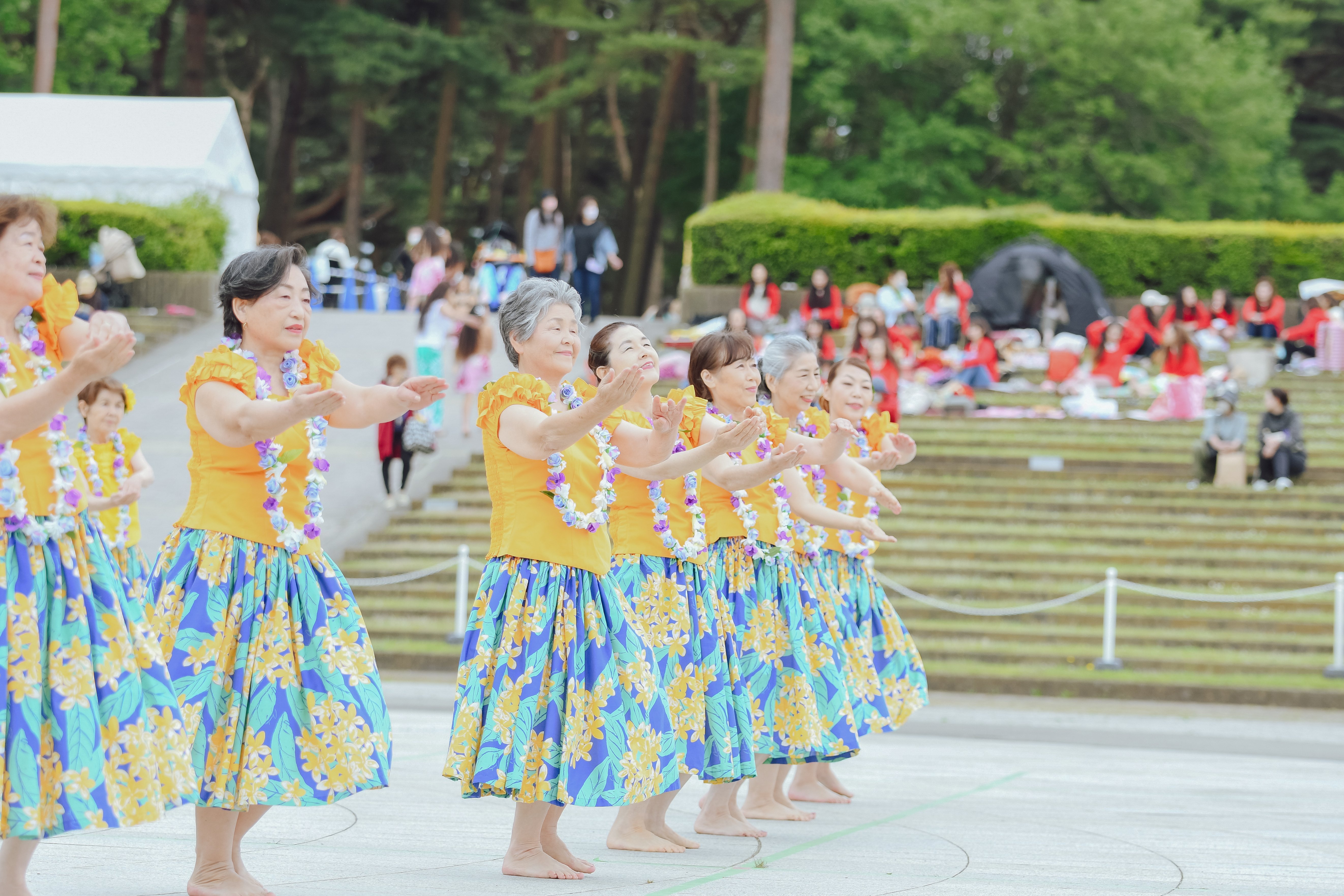 写真で伝えたい「フラフェス」の魅力｜ひたちなか市公式note｜茨城県