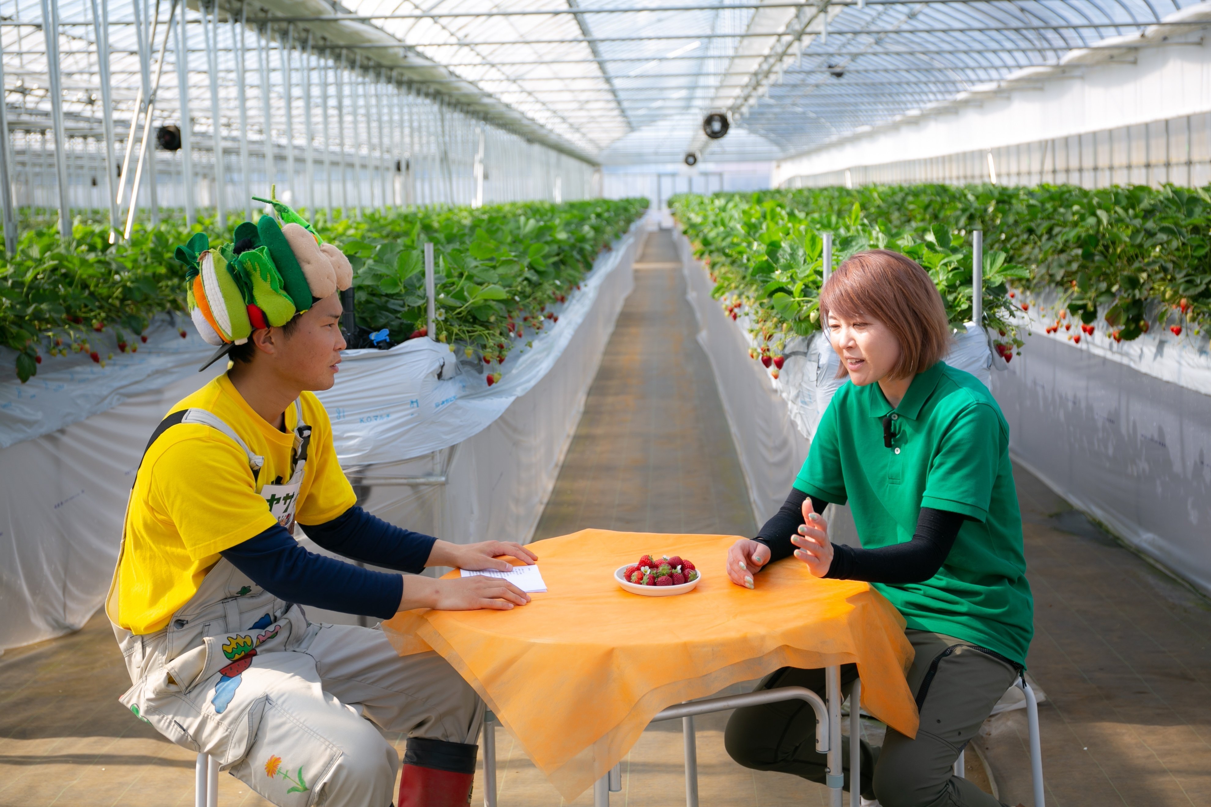 ヤサイちゃん農家ほうもん記 津田農園編｜ヤサイちゃんPJT