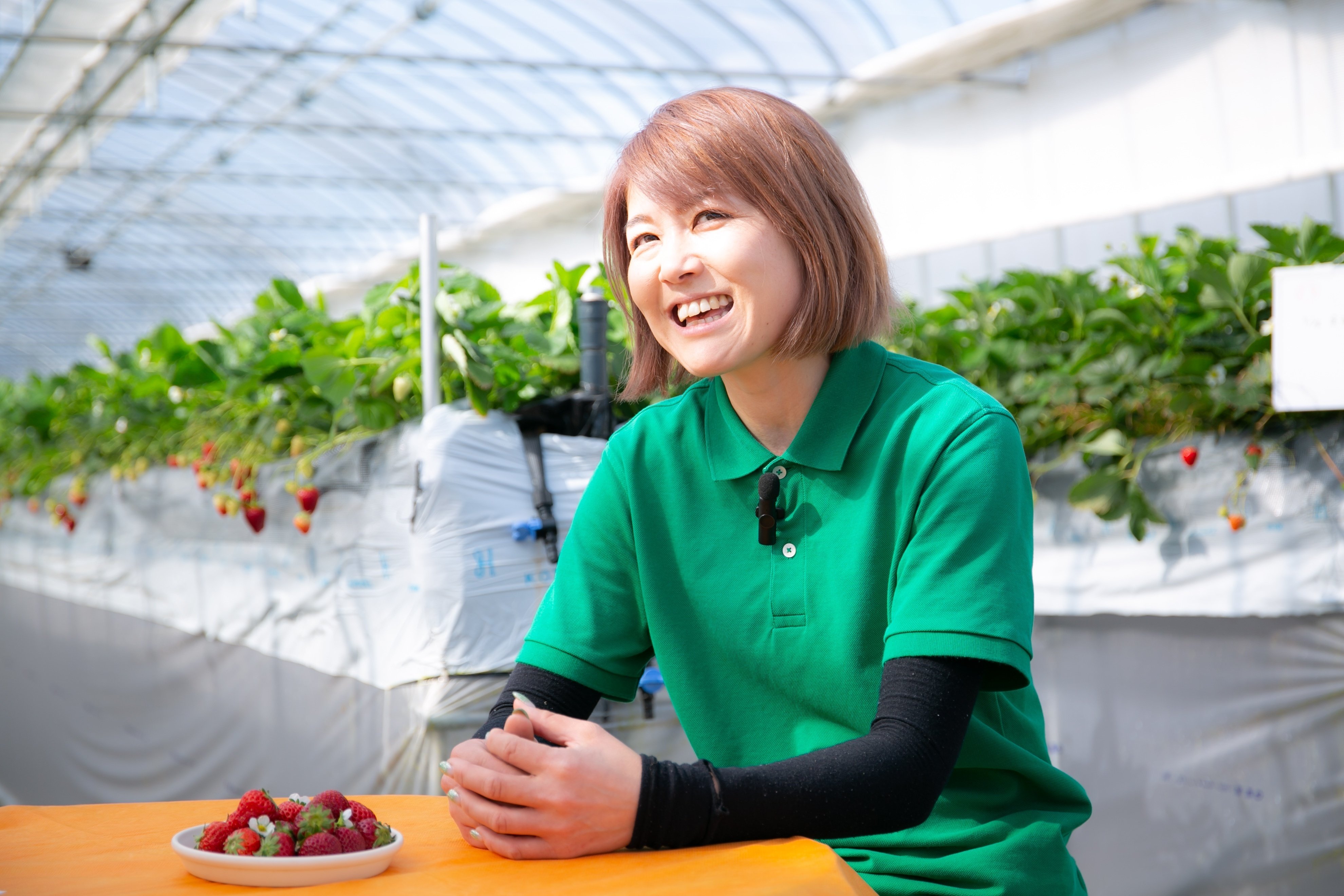 ヤサイちゃん農家ほうもん記 津田農園編｜ヤサイちゃんPJT
