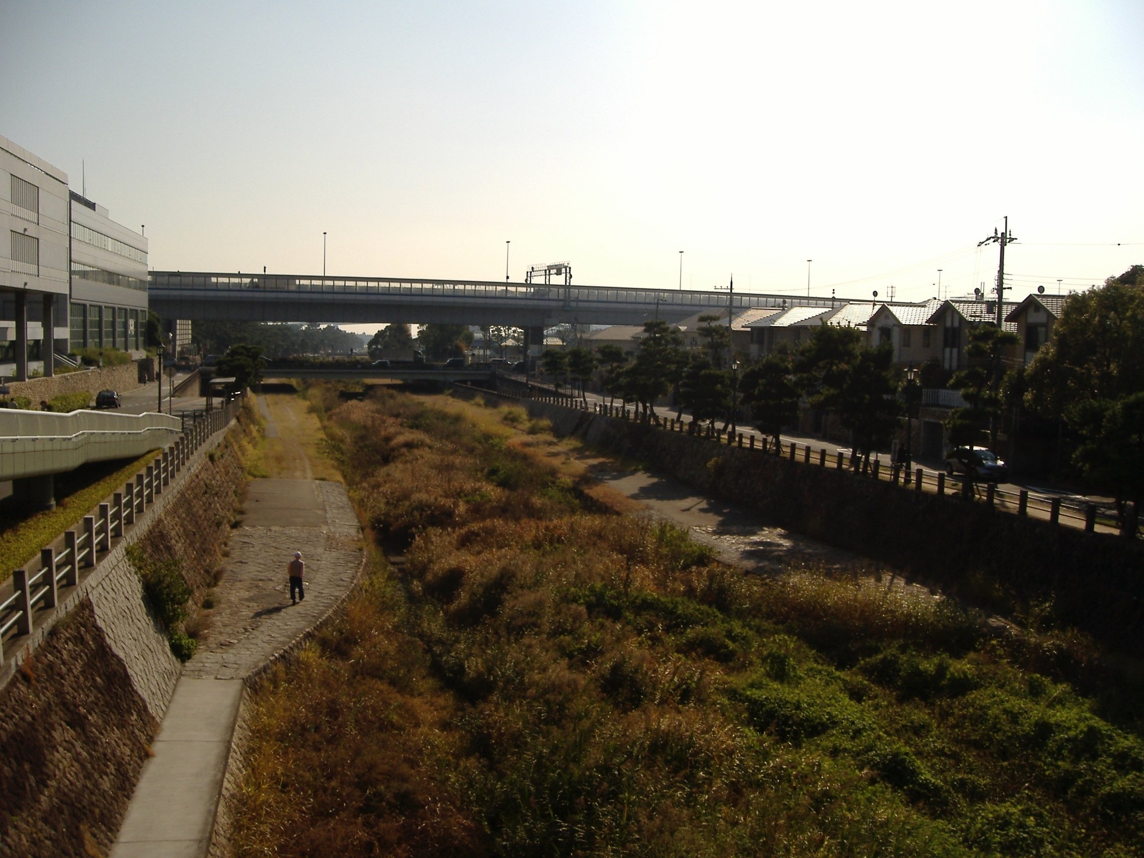 街とその不確かな壁 街とその不確かな壁〔上〕』 村上春樹 | 新潮社