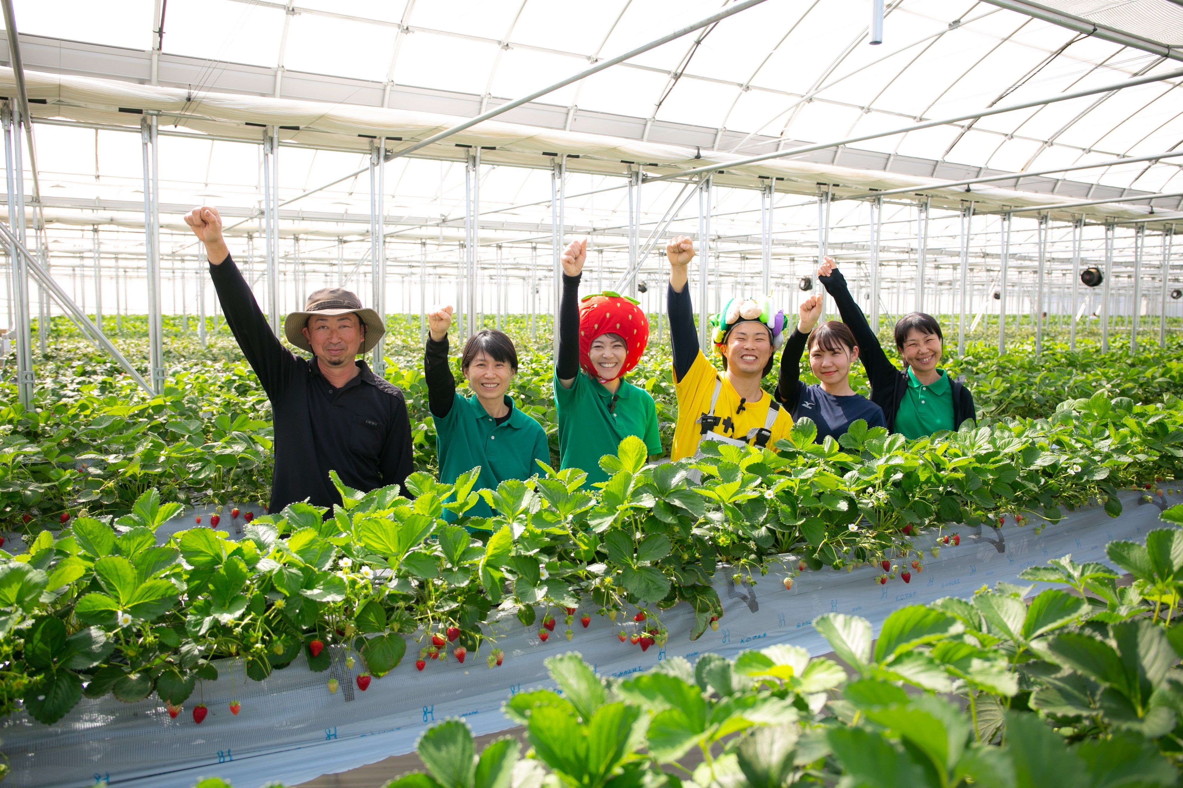 ヤサイちゃん農家ほうもん記 津田農園編｜ヤサイちゃんPJT