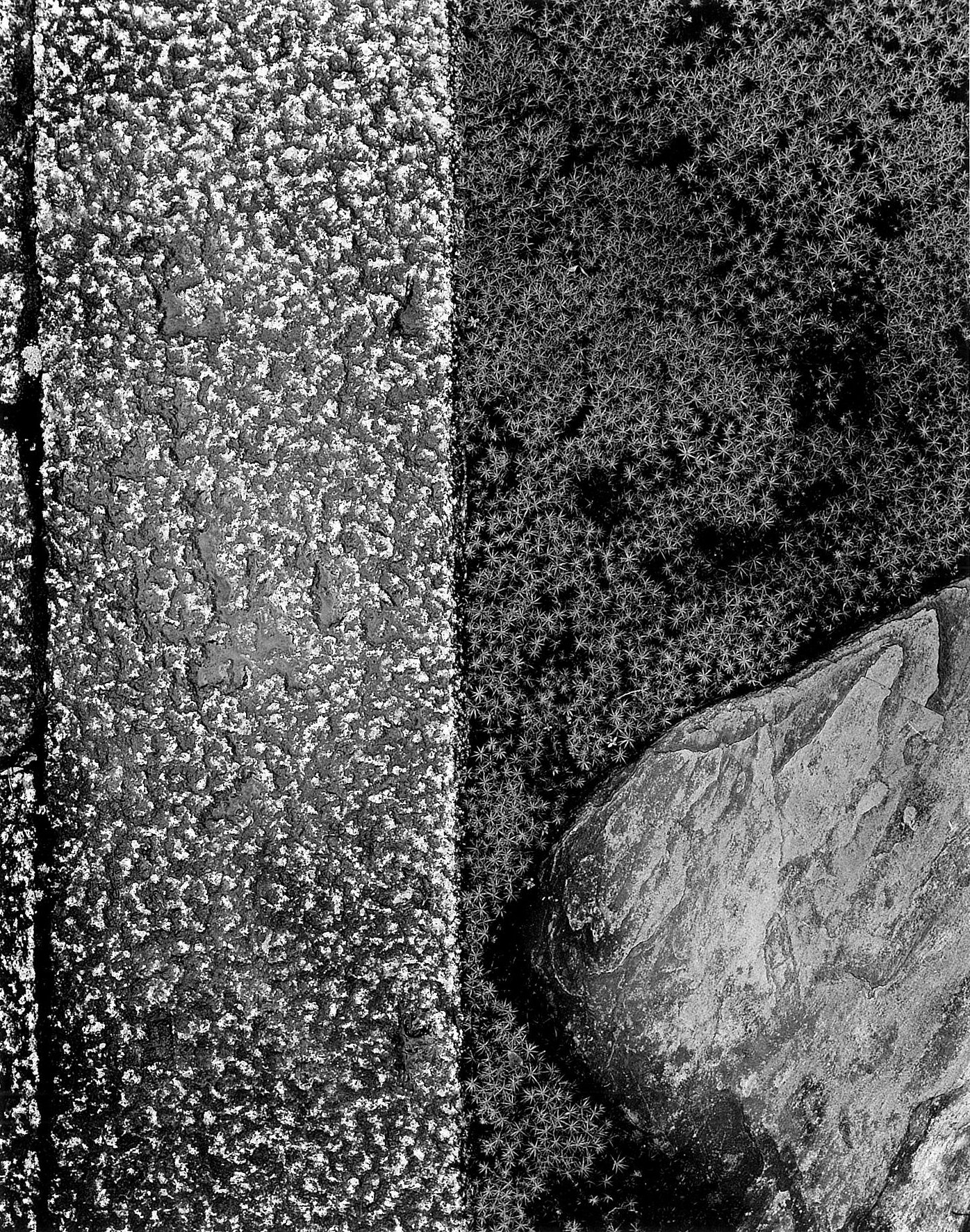 シンプルの系譜＜6＞ ～桂離宮～｜大村哲弥 tetsuya omura