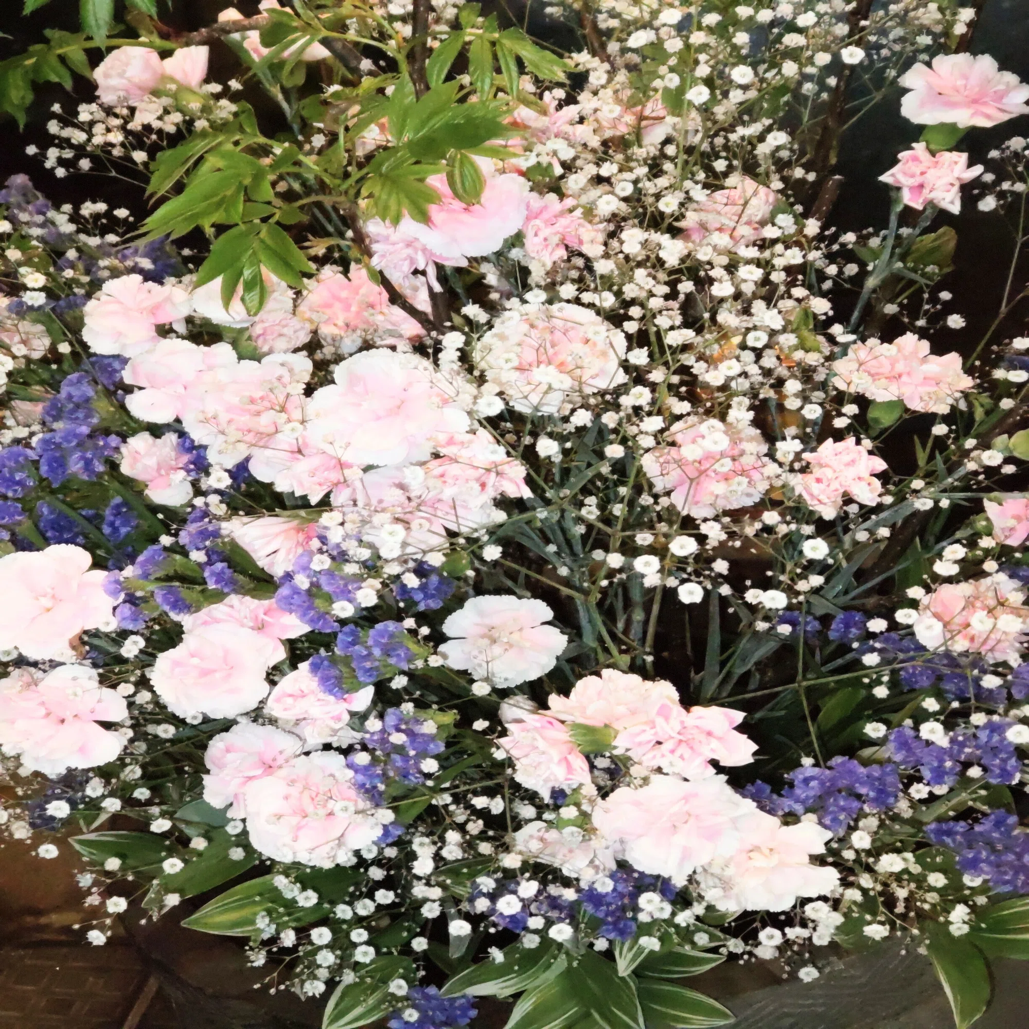 薄紫色の花が咲く季節に見つけた小さな希望｜yumi