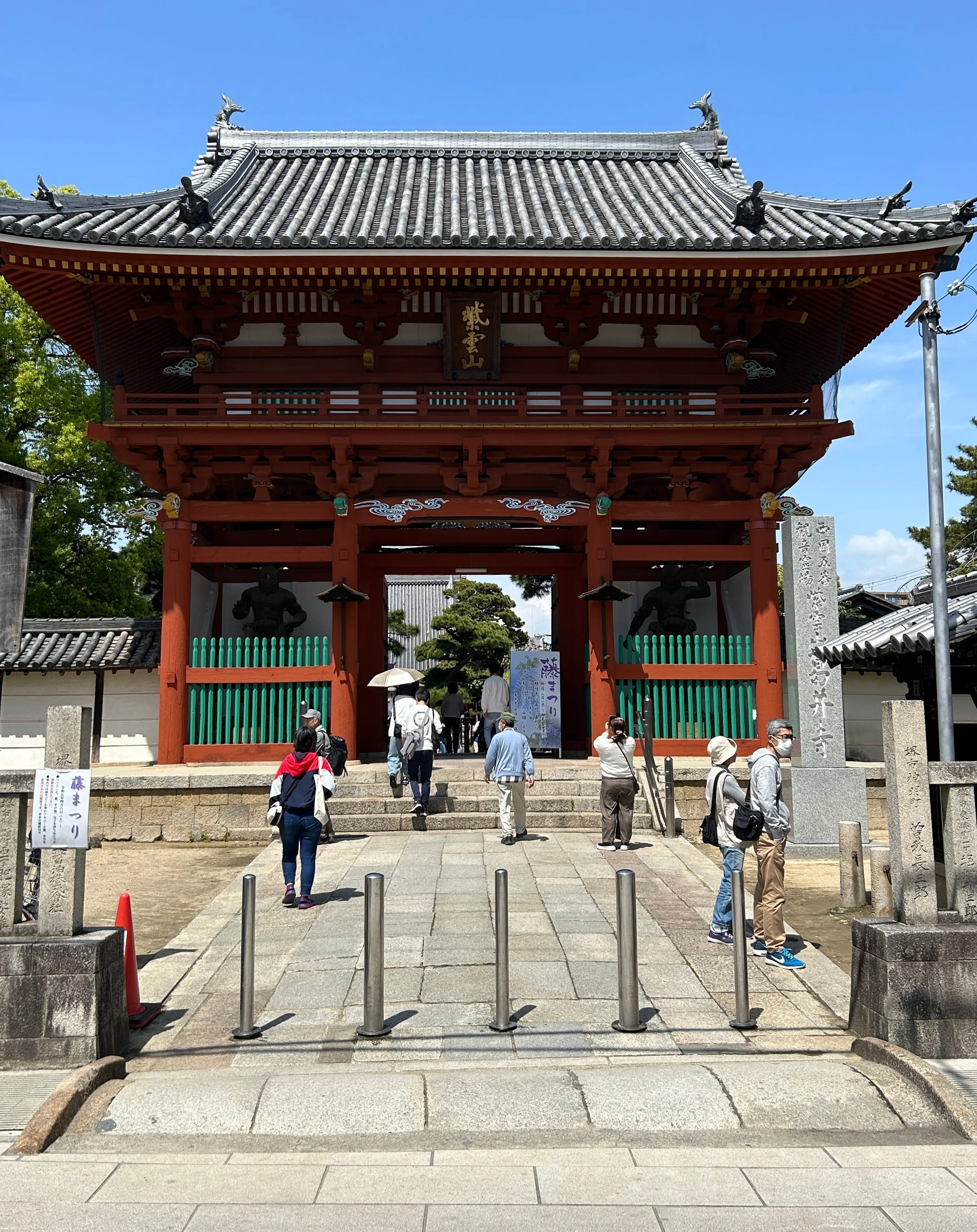 葛井寺（ふじいでら）へ藤見に〜道明寺｜♭のぶ