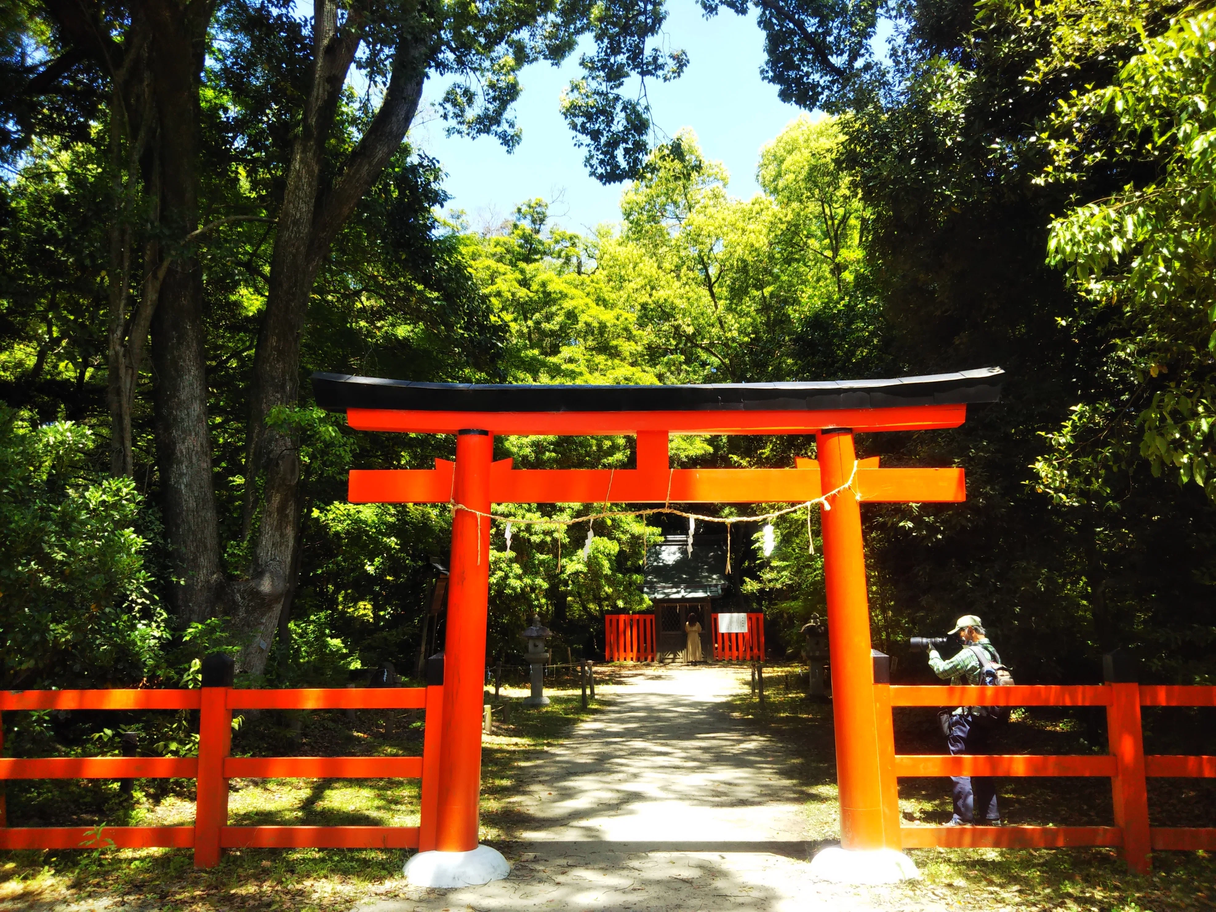 秦氏と賀茂氏が勧請「半木神社(流木神社)」下鴨だけど上賀茂神社境外