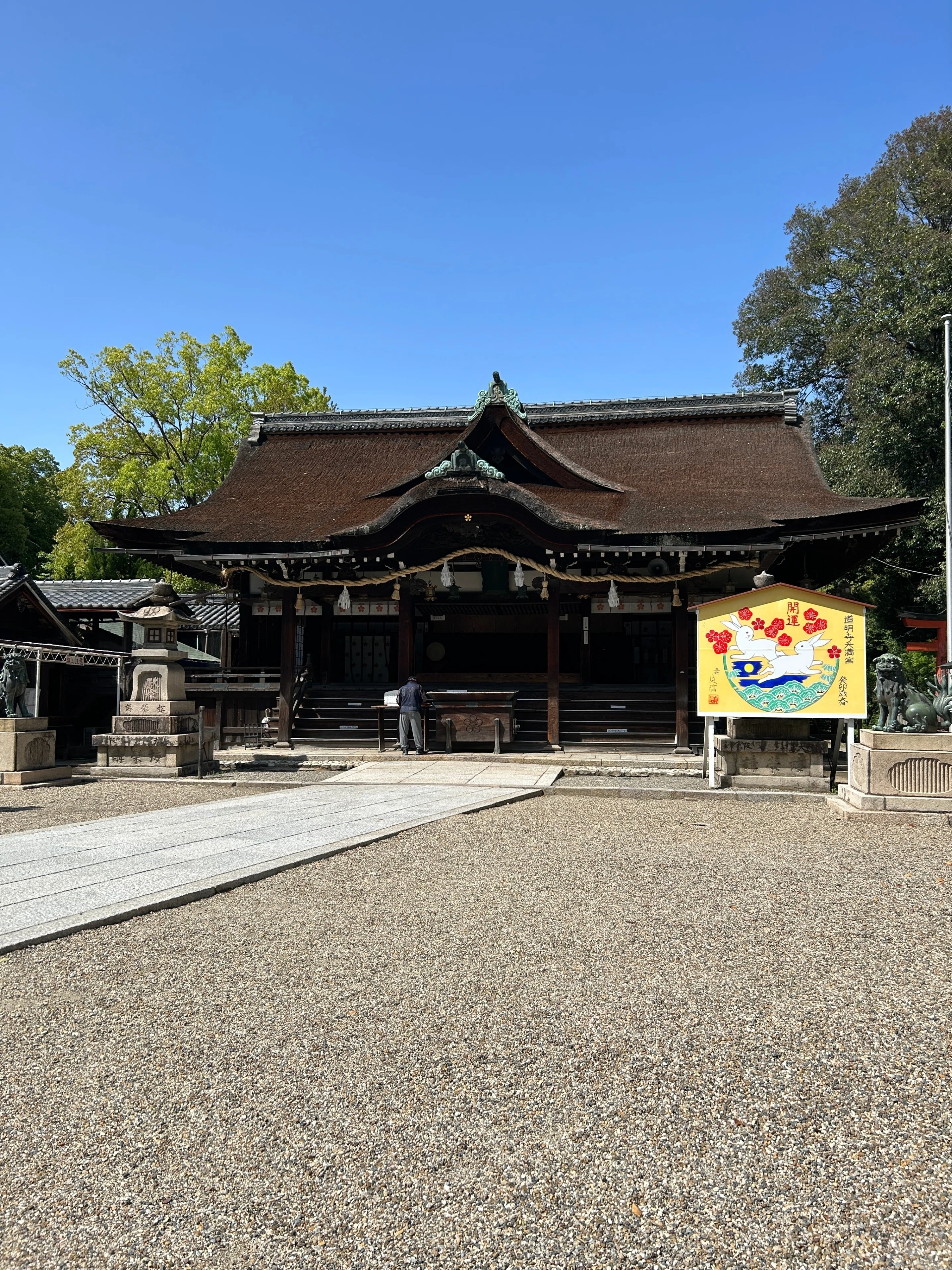 道明寺心生さん専用ページ 葛井寺（ふじいでら）へ藤見に〜道明寺｜♭のぶ