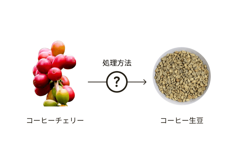 コーヒーの果実生から豆の処理方法へ