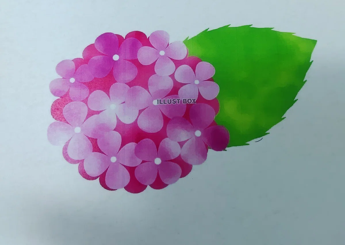 漆喰DIY? 壁に紫陽花の花が咲きます こんなに自由に絵が描けるなんて 