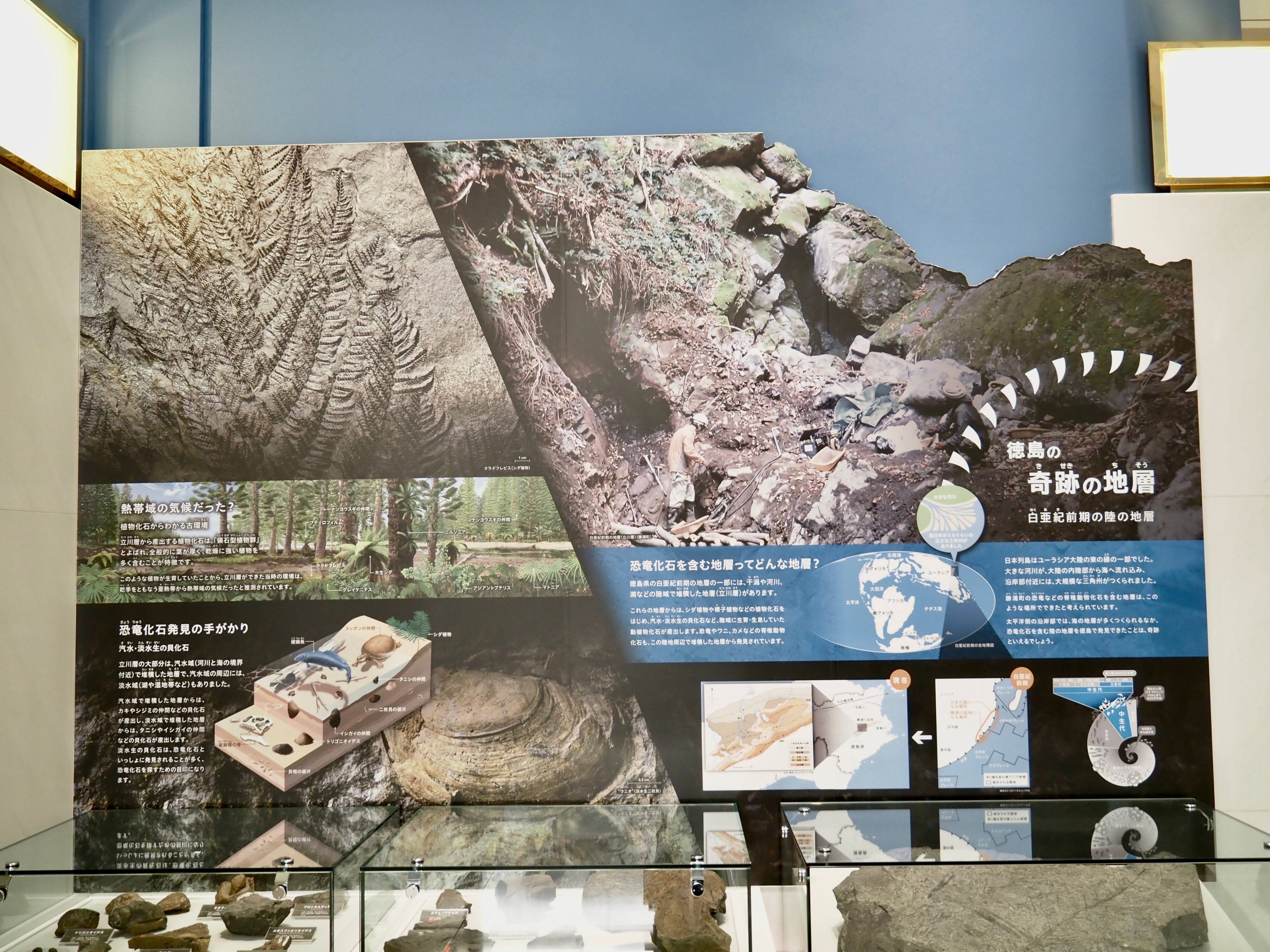 編集先記】ここだけの化石が地味にスゴイ！徳島県立博物館編vol.2｜本