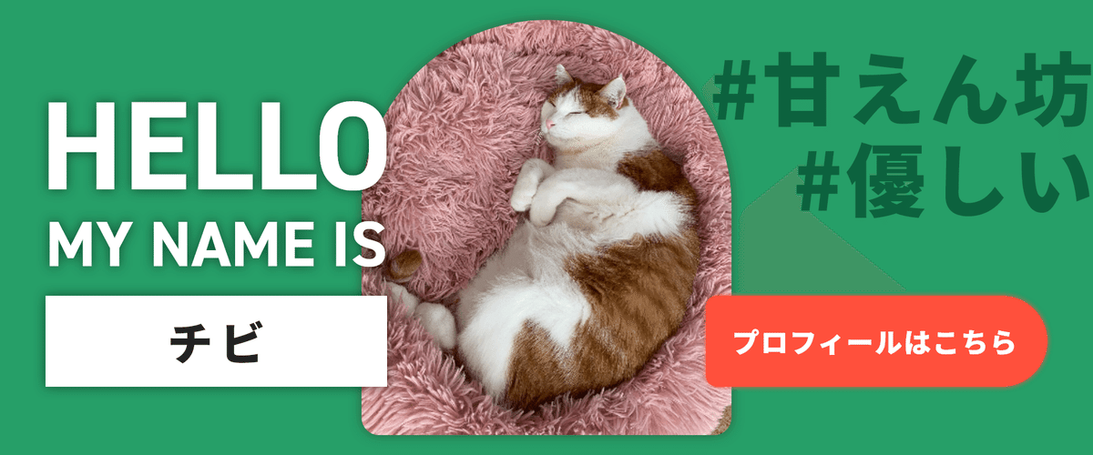 ちびねこ様 リクエスト 2点 まとめ商品
