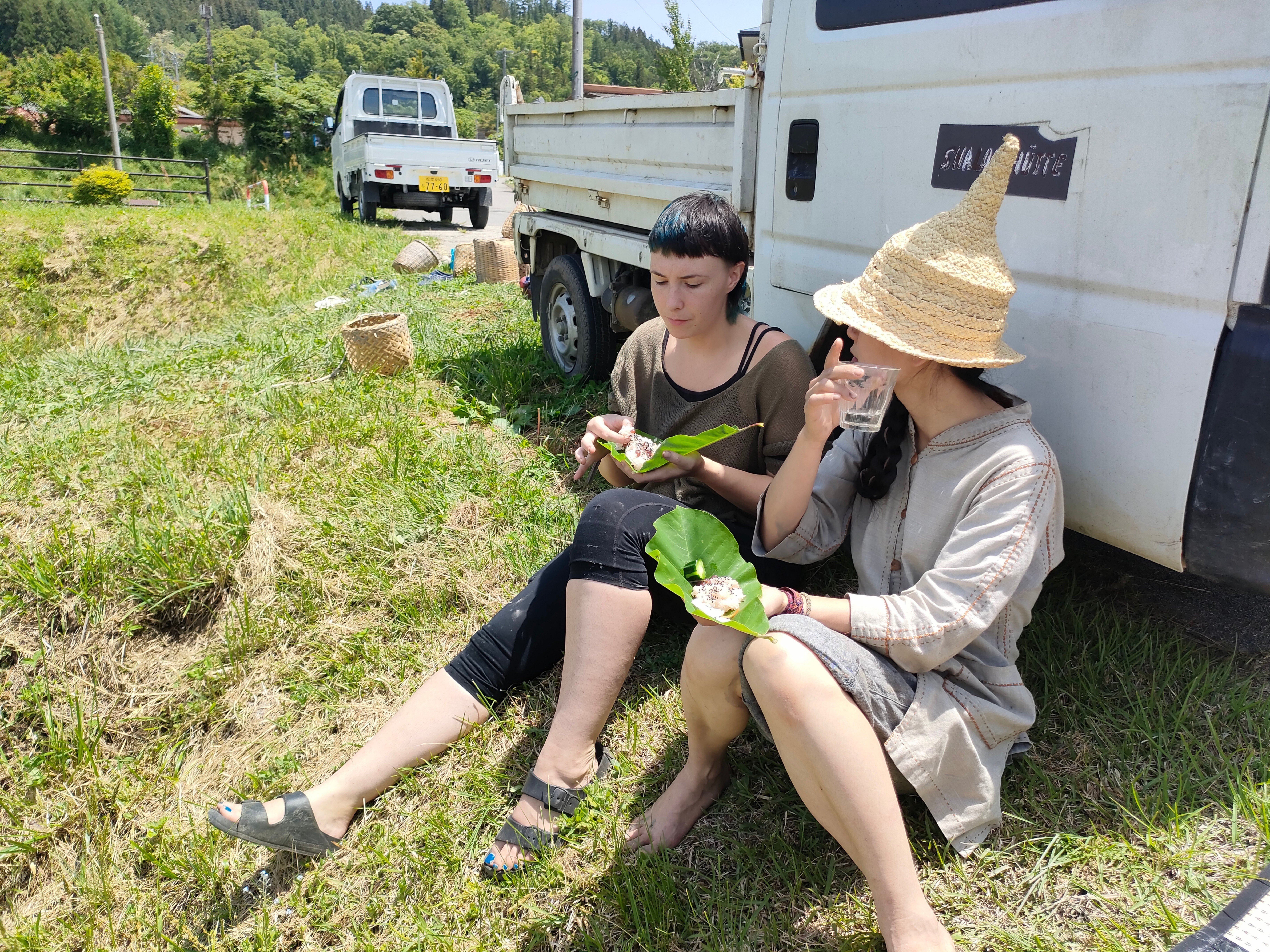 田んぼの会田植え|shanthi-usui 田んぼの会田植え|shanthi-usui
