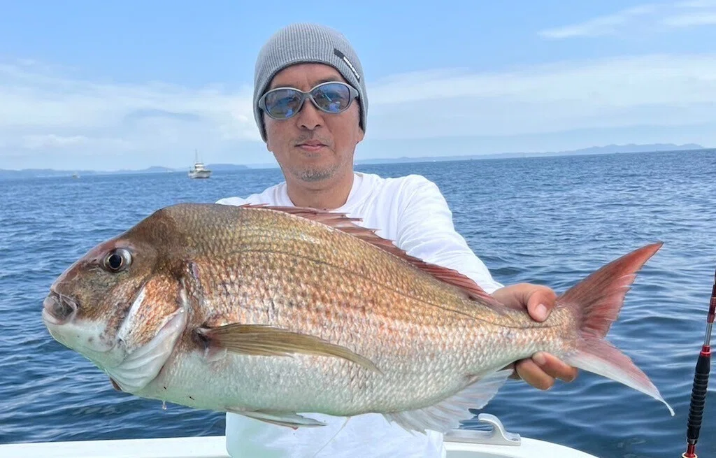 アジ、イサキ、真鯛釣りに 沖波ペアー 240 | 大型真鯛3.5kg！剣崎沖で