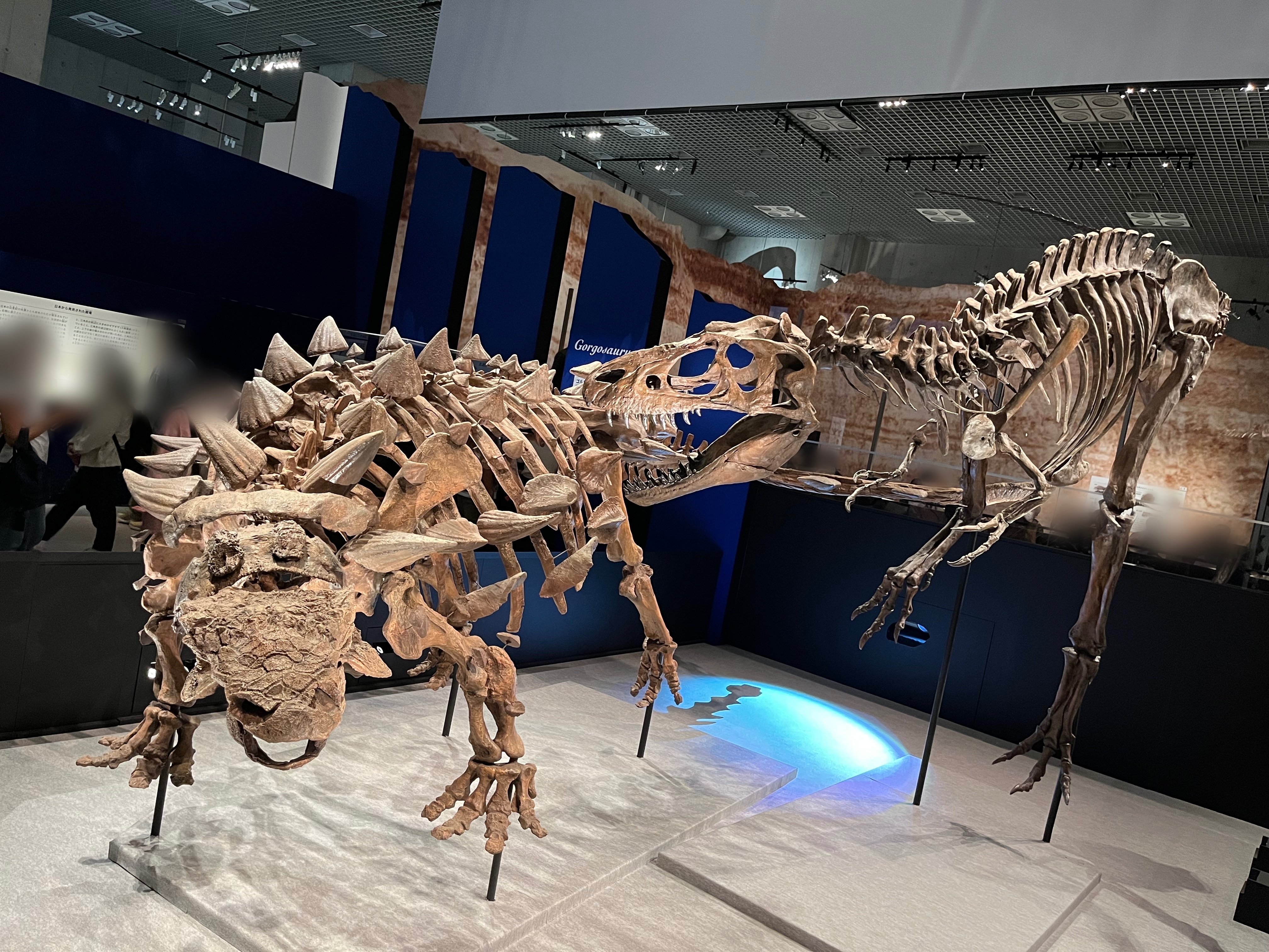 恐竜博2023』に行ってきました！｜岡亭みゆ