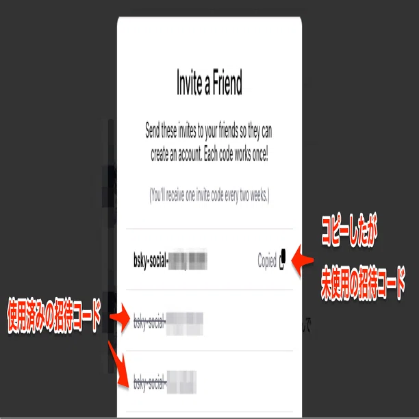 Blueskyの招待コードで失敗／ChatGPTとの対話／数学と文学／問題処理の