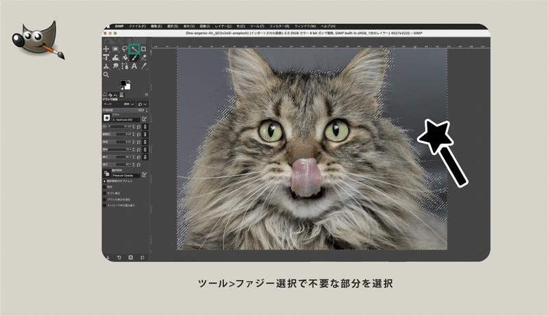 「GIMP」説明図「ファジー選択で不要な部分を選択」