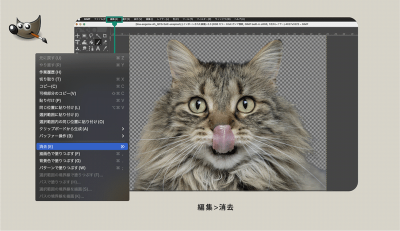 「GIMP」説明図「選択部分を消去」