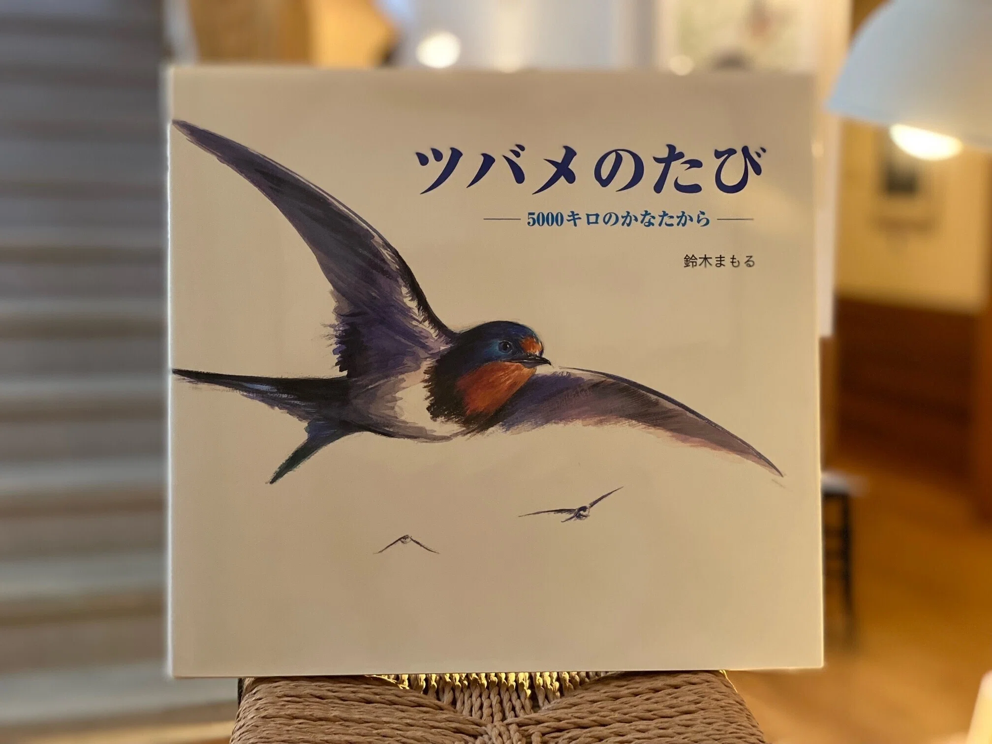 画家・絵本作家の声】鈴木まもるさんインタビュー～「森にあつまれ“鳥