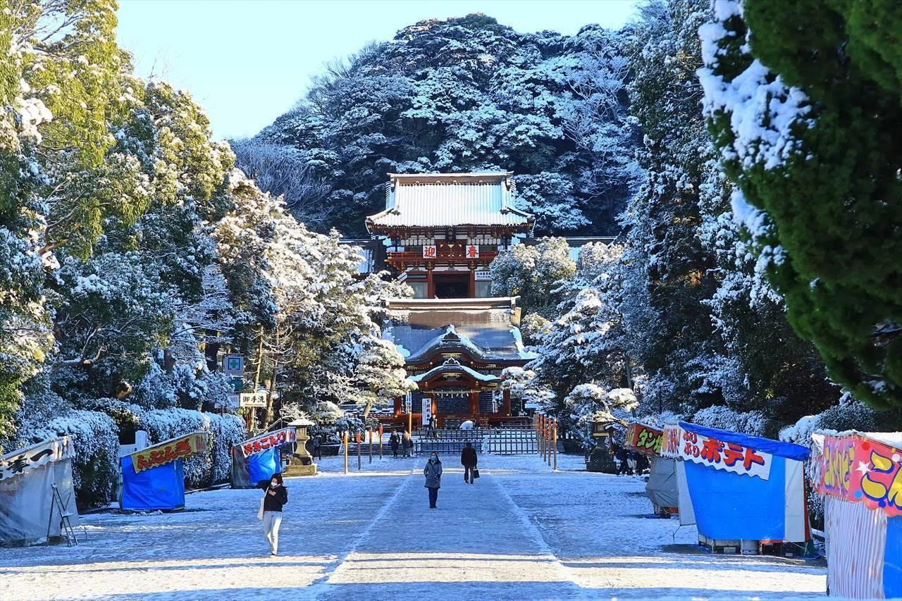 雪の鶴岡八幡宮｜鎌倉PRESS（別館）