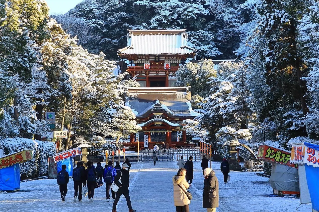 雪の鶴岡八幡宮｜鎌倉PRESS（別館）