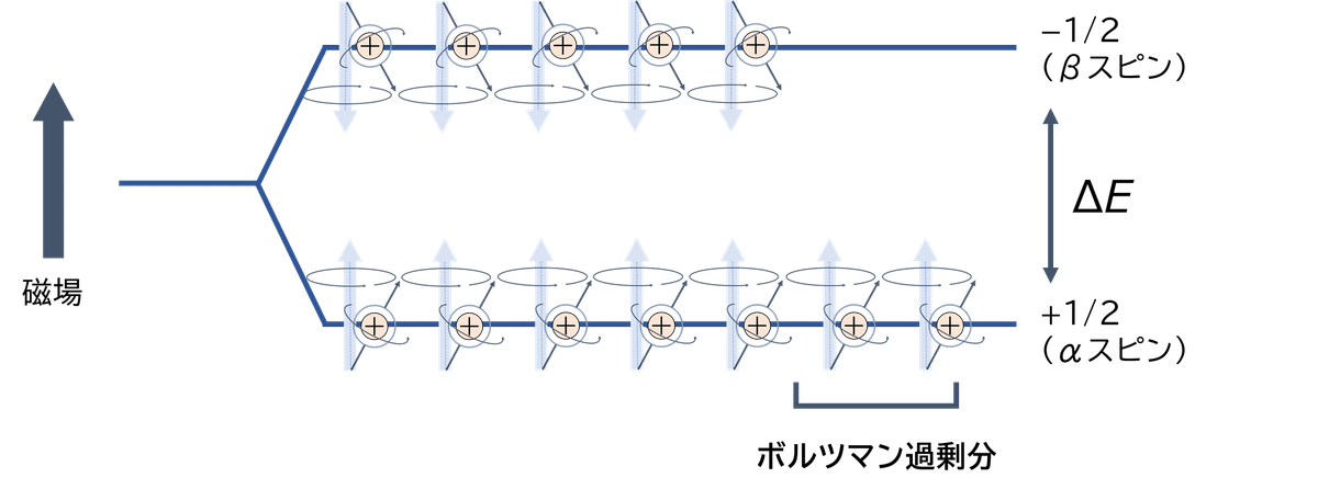 NMRスペクトルによる有機化合物の構造解析入門②～NMRの原理
