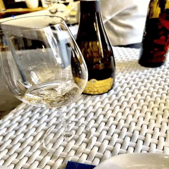 2021年】サンマリノワイン試飲会で感動ワイン体験【高見沢さんコラボ