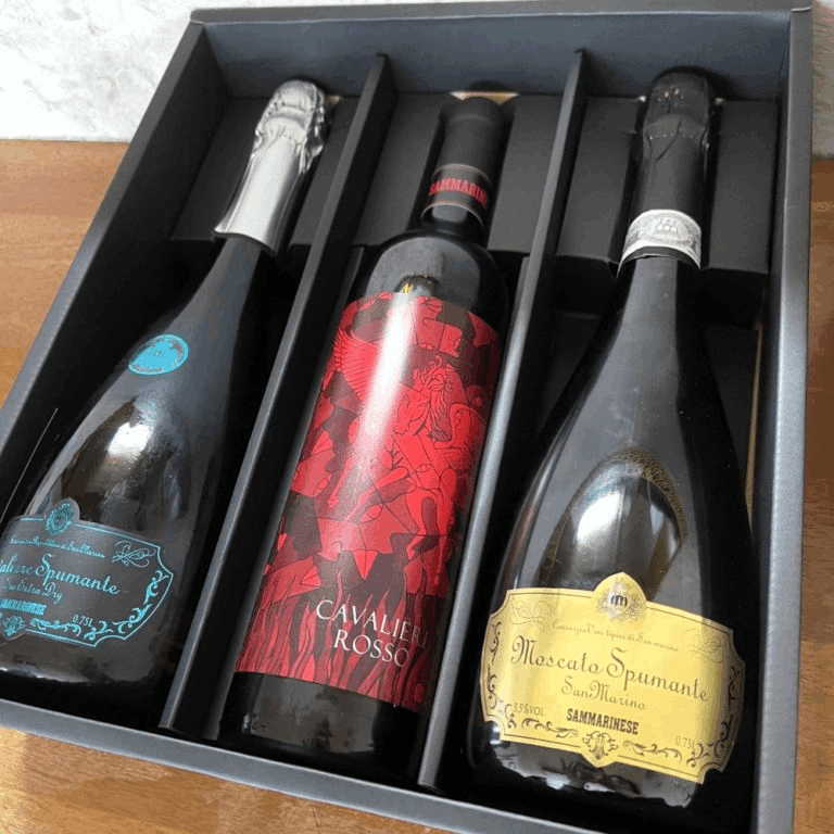 2021年】サンマリノワイン試飲会で感動ワイン体験【高見沢さんコラボ