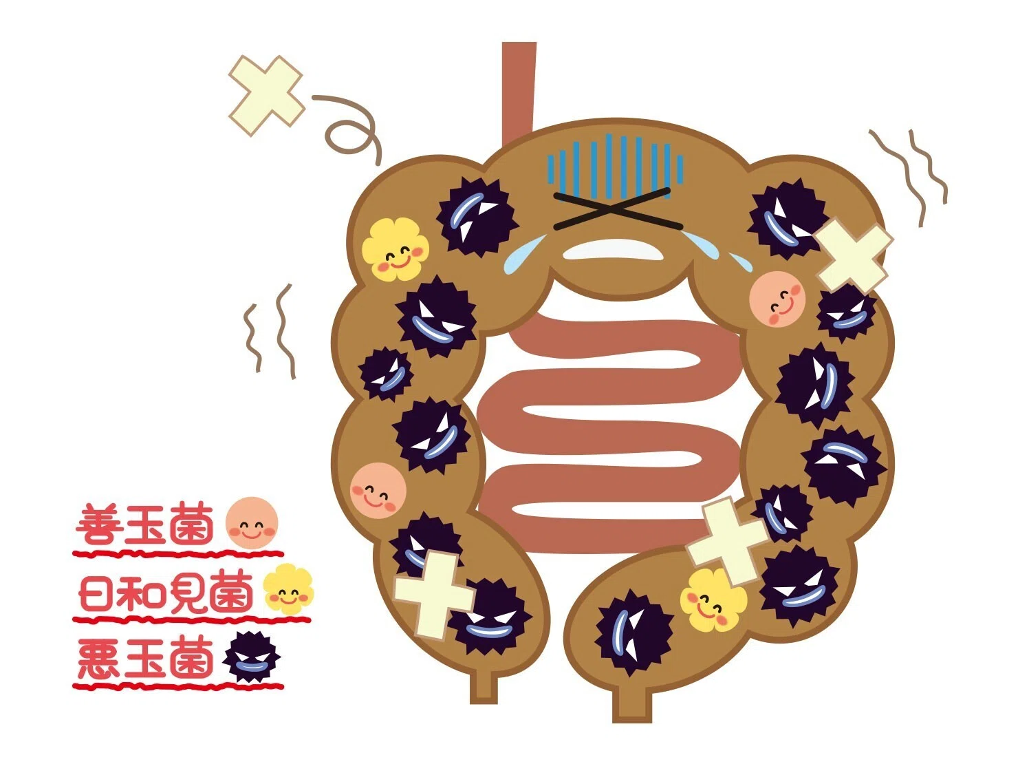 活動歴および当時の関連ビジュアル記録